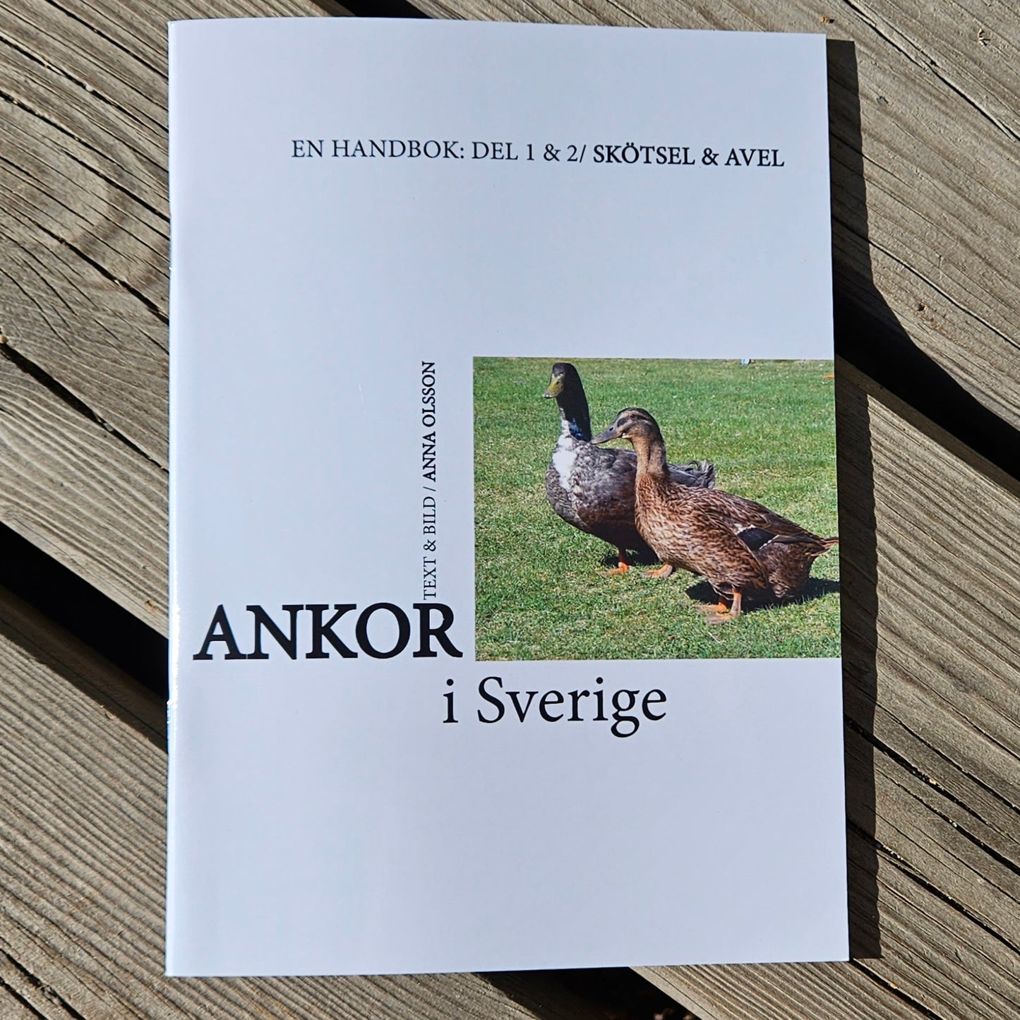 Ankor i Sverige - handbok om ankors skötsel och avel - Naturboden