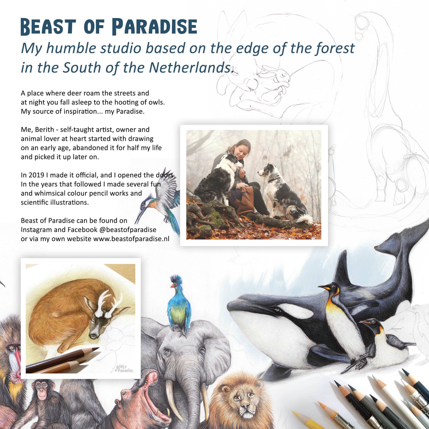 Beast of paradise presentation
