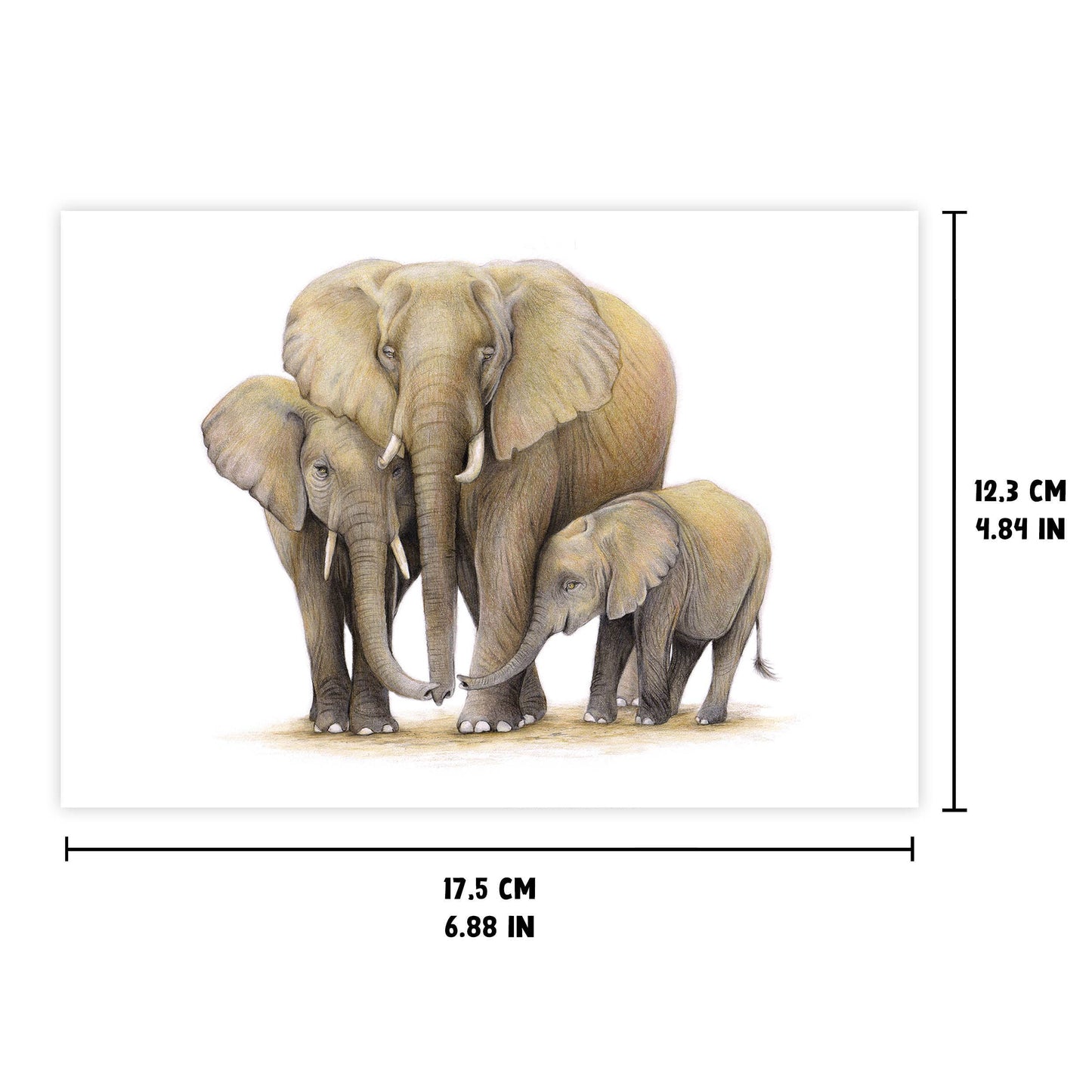 Hälsningskort Elefant 12,3x17,5 cm