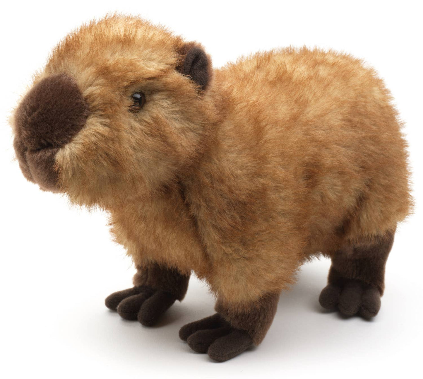 Kapybara gosedjur - Naturboden