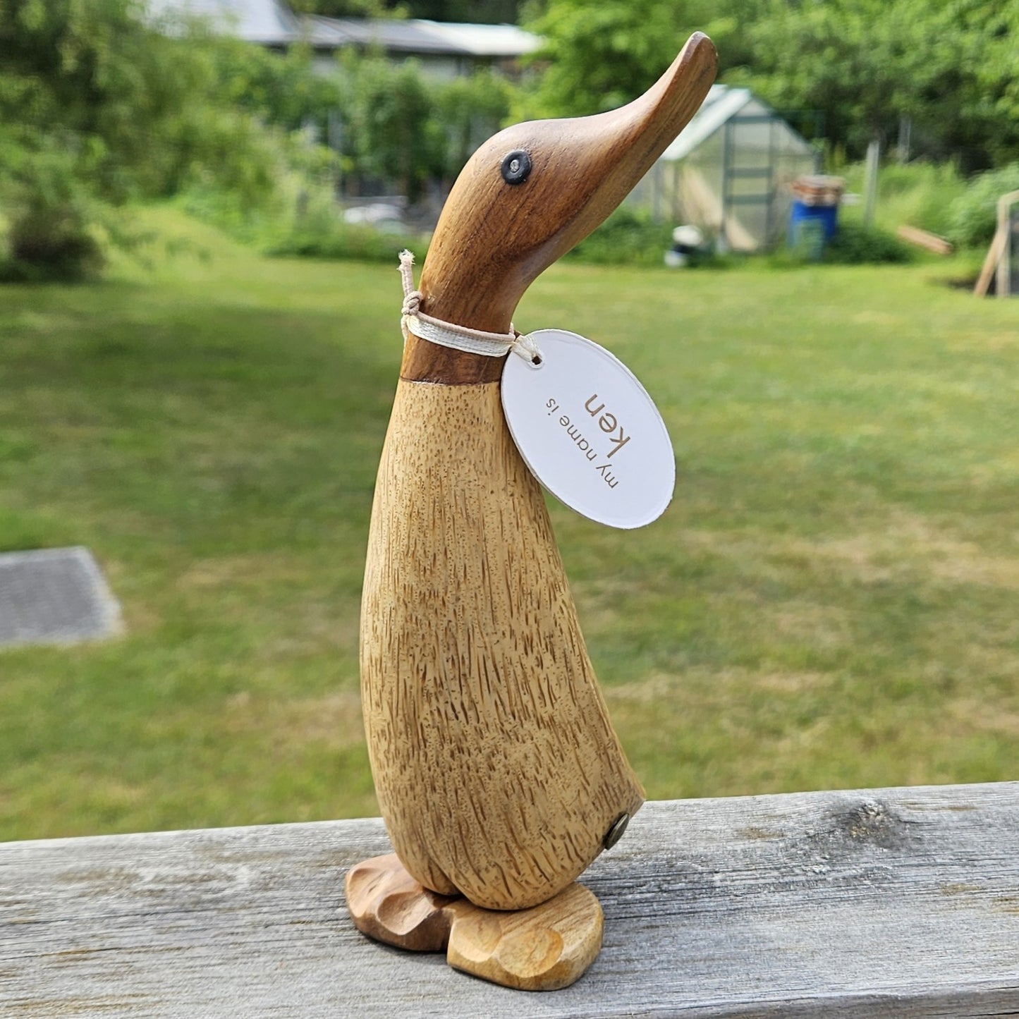 Anka i bambu - naturlig löpanka Ken - Naturboden