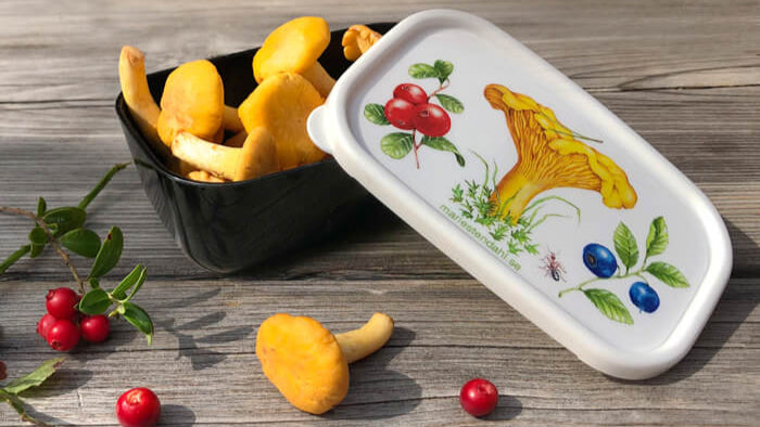 MInibox skog med kantarell lingon och blåbär - Naturboden