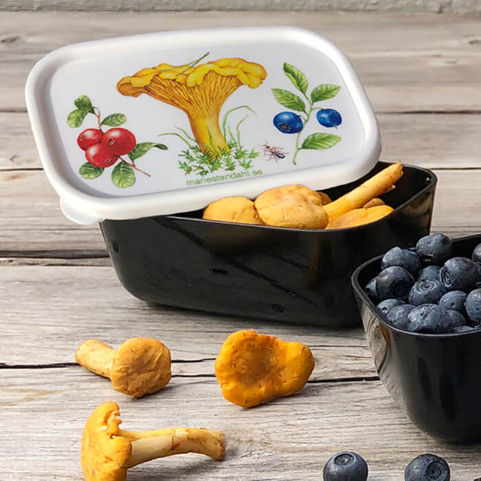 MInibox Skogsmotiv - Naturboden
