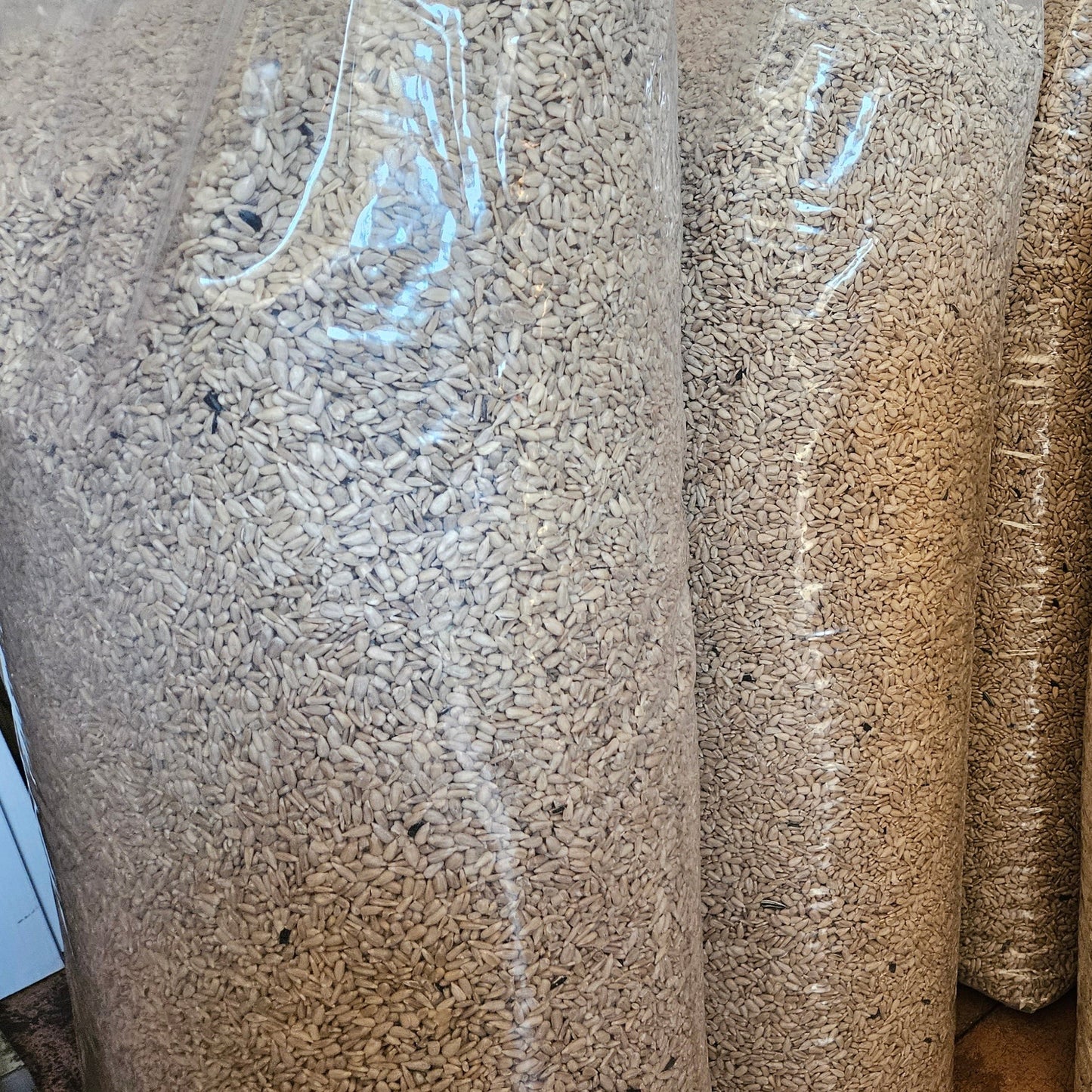 Skalat Solrosfrö 22,5 kg - Naturboden