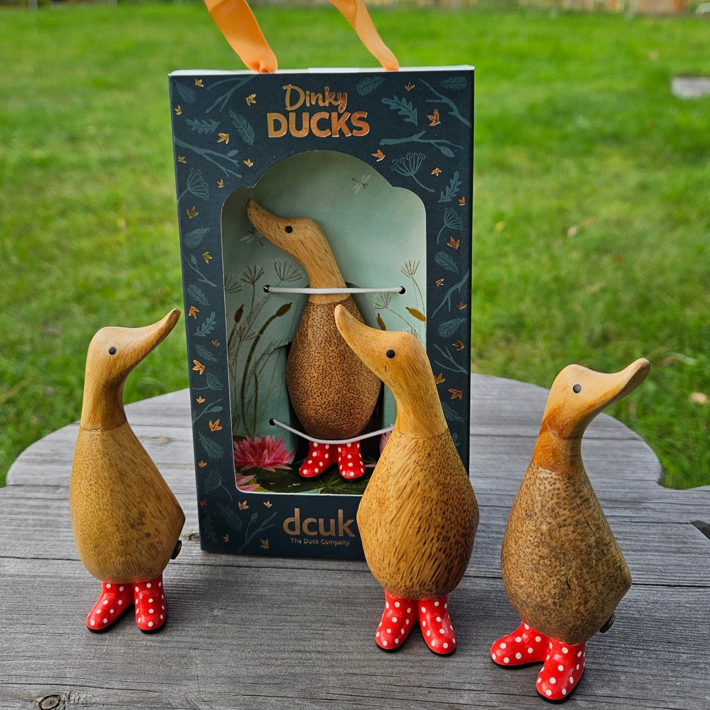 Dinky ducks med röda stövlar, små ankor i bambu - Naturboden