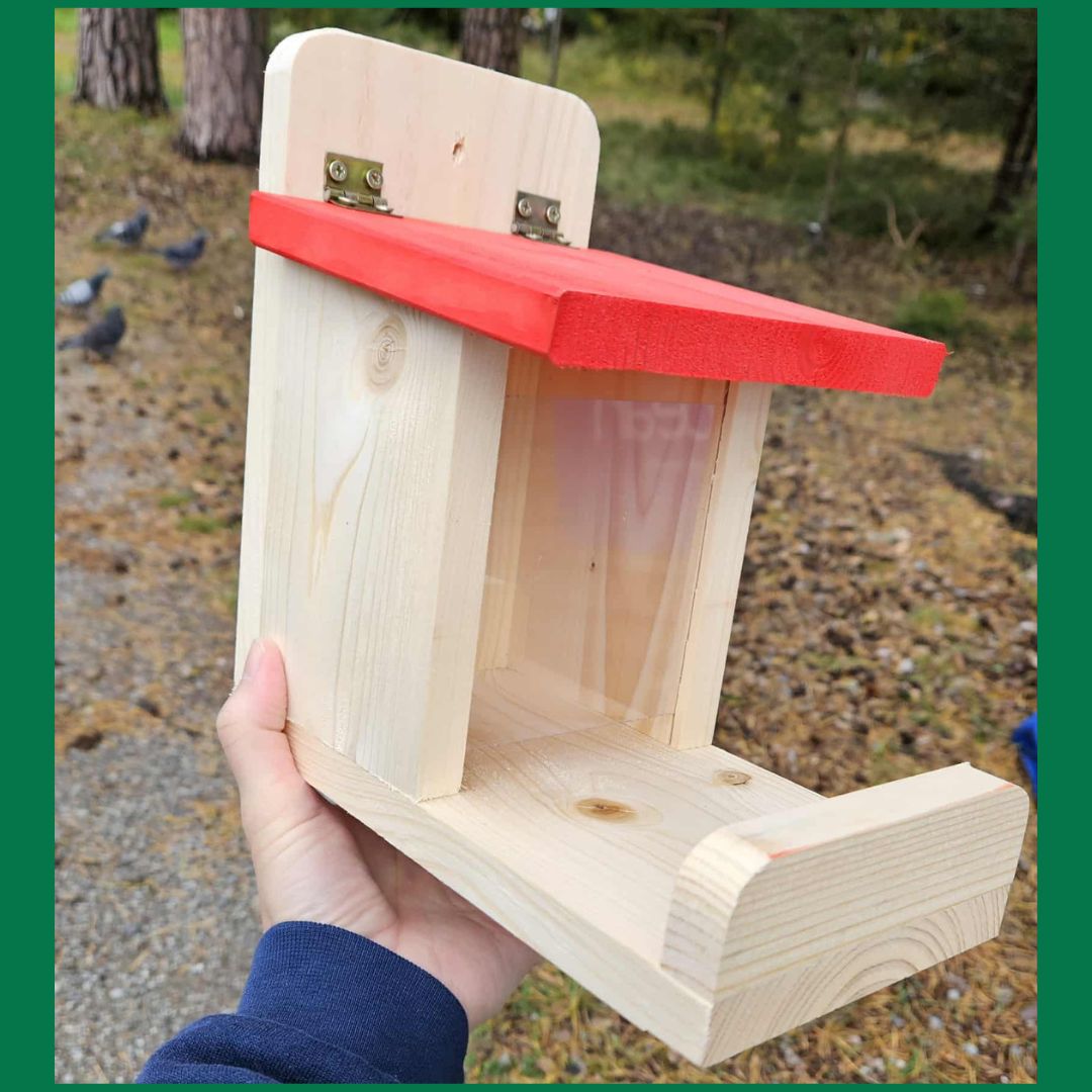 Ekorrmatare Nyhet! - Naturboden