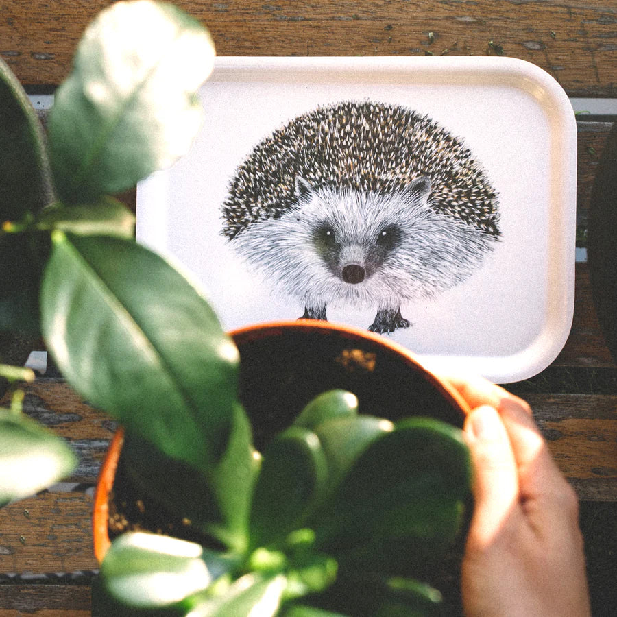 Bricka - Igelkott 43 x 33 cm - Naturboden