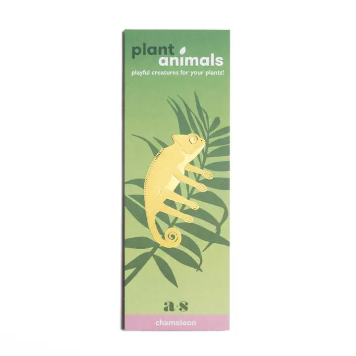 kameleont växtdjur i förpackning av återvunnet och växtbaserat material - Naturboden