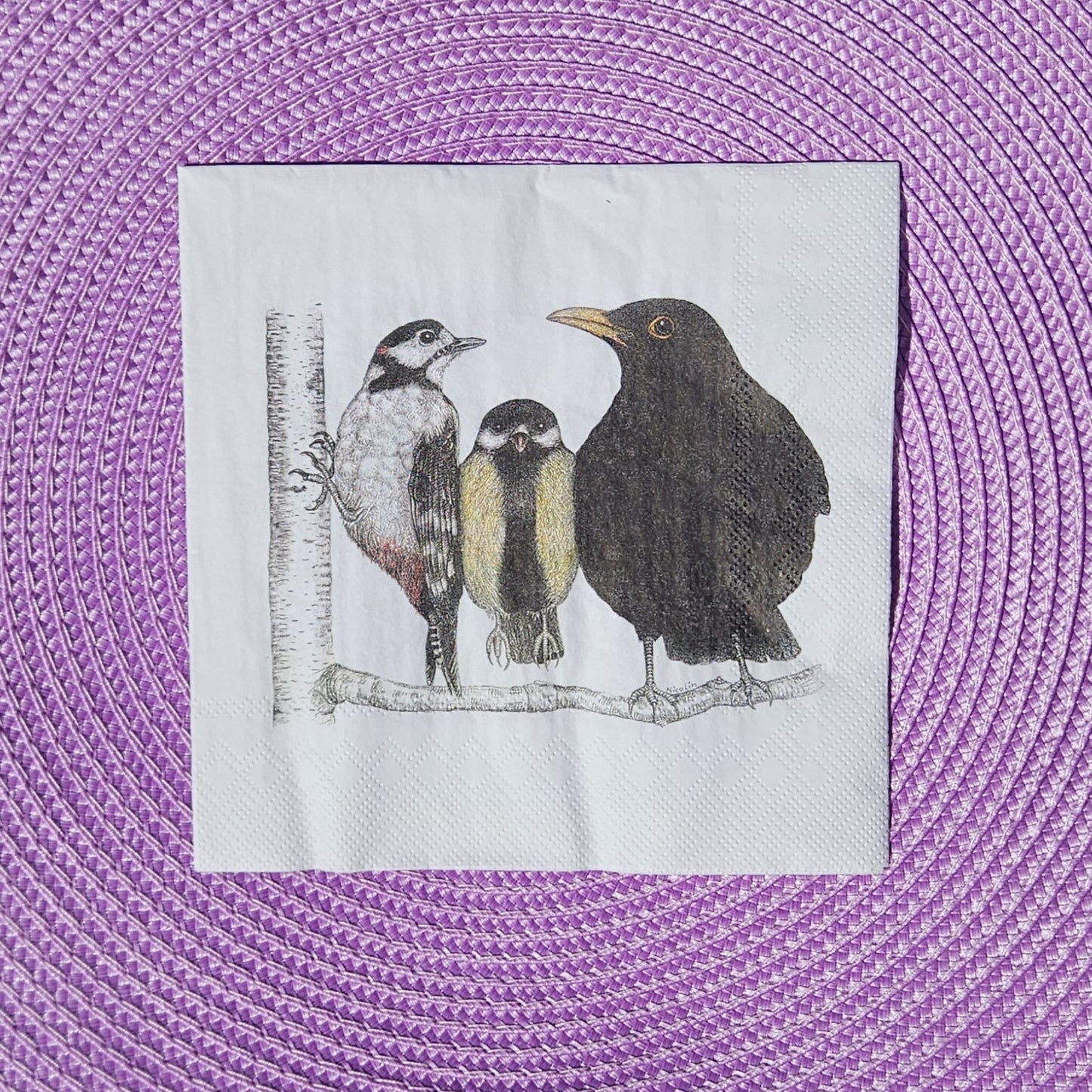 Servetter med fåglar 20-p - Naturboden