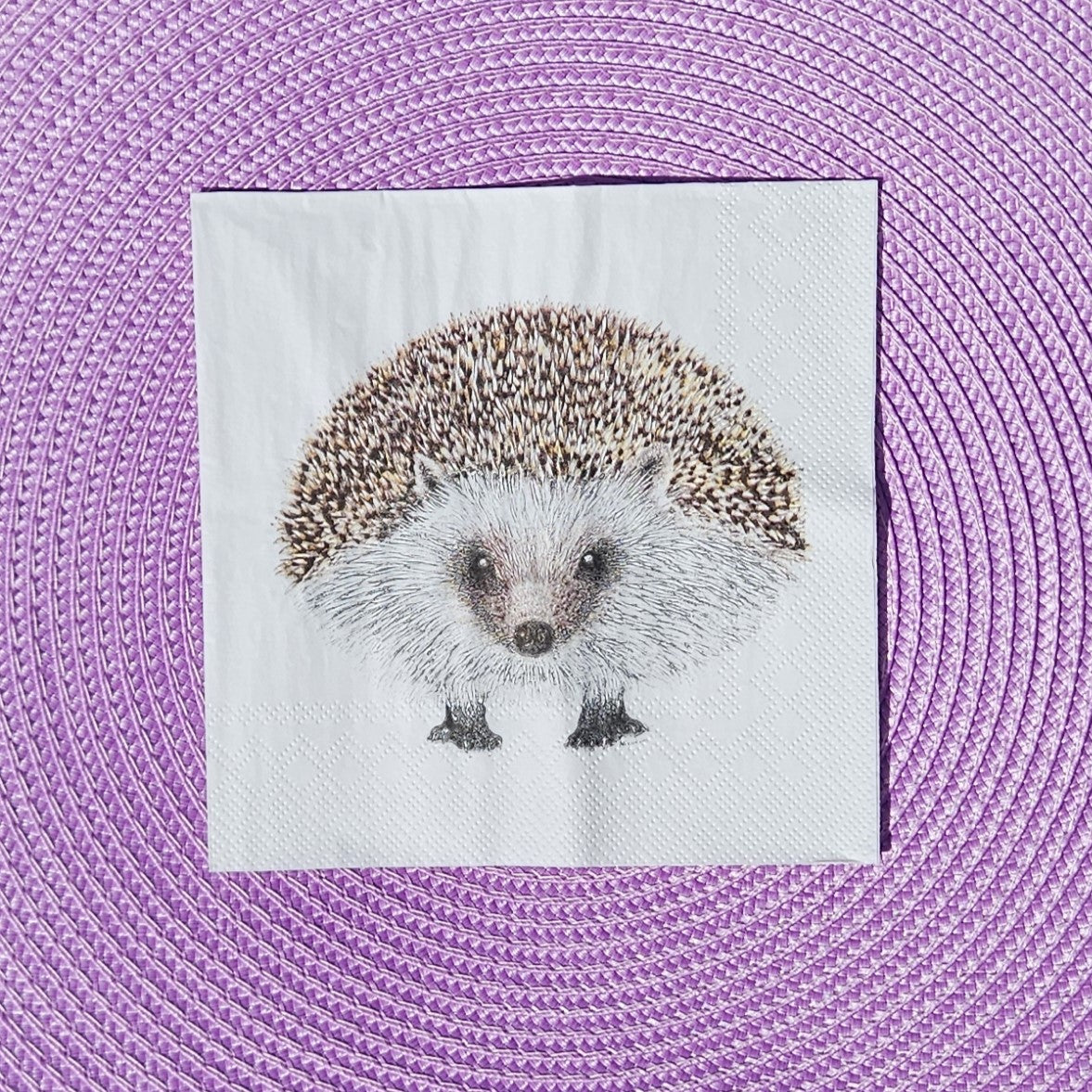 Servetter Henry igelkott 20-p - Naturboden