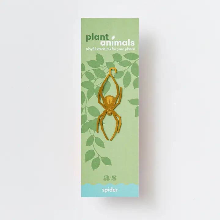 växtdjur spindel - Naturboden