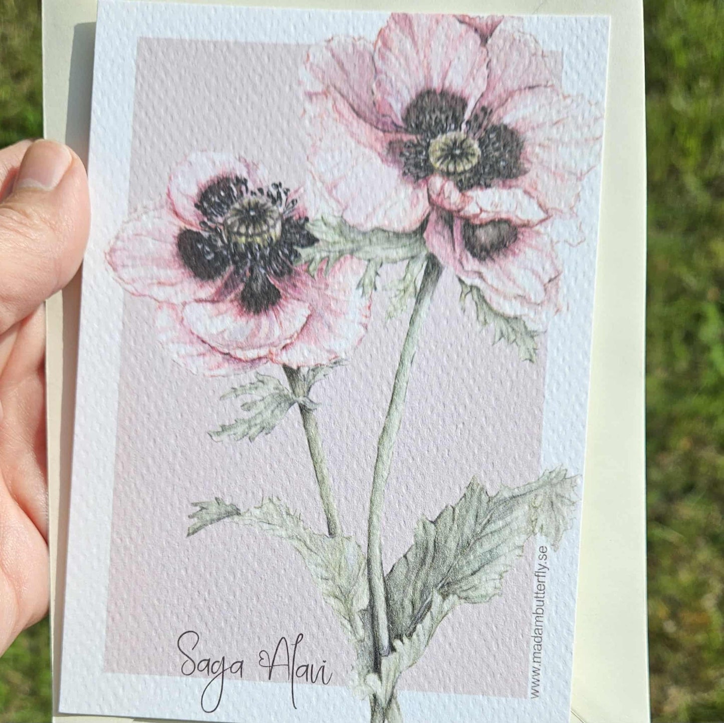 vykort rosa vallmo - Naturboden