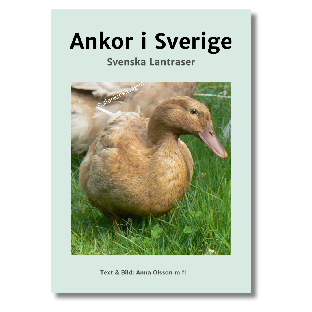 Ankor i Sverige - Paket - Naturboden