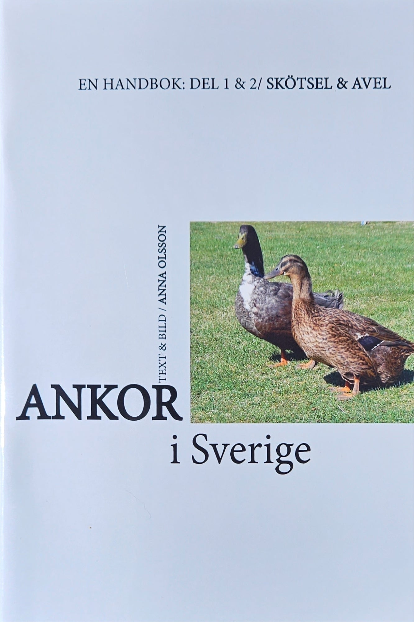 Ankor i Sverige - handbok om ankors skötsel och avel