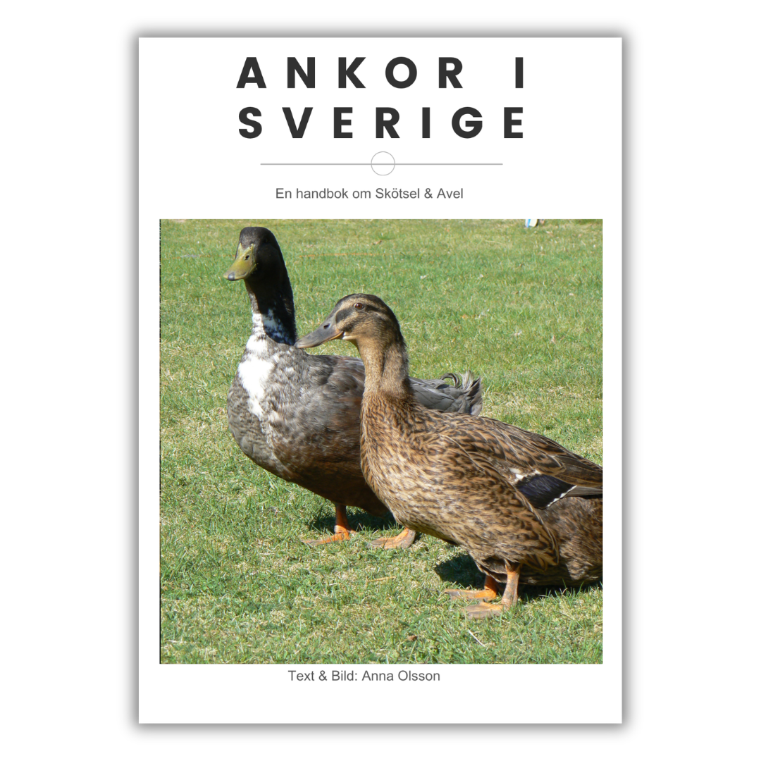 Ankor i Sverige E-bok - Naturboden