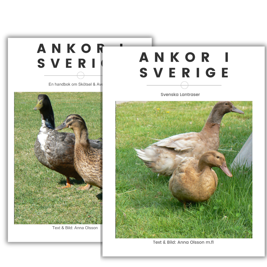 Ankor i Sverige E-bok Paket - Naturboden
