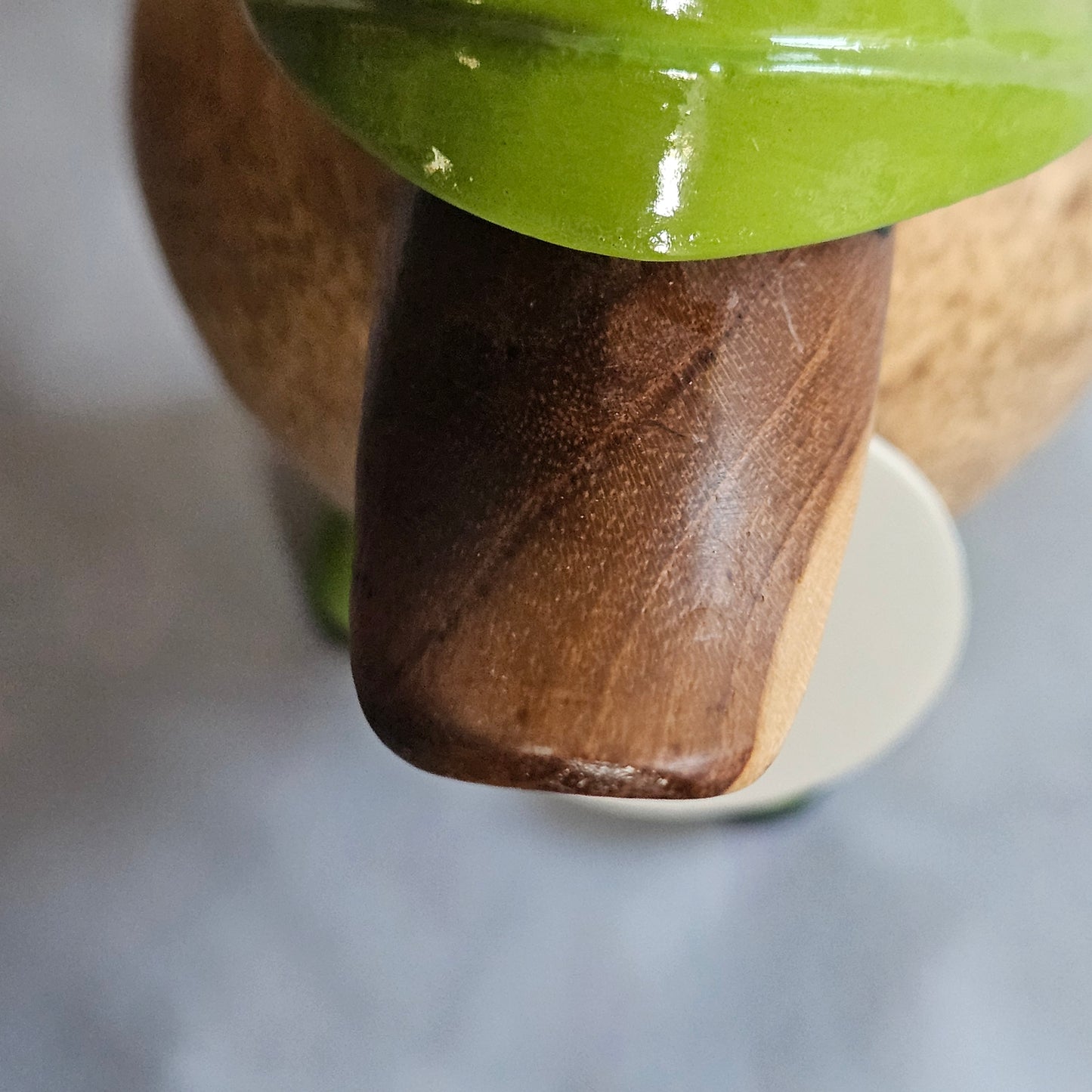 anka i bambu med grönt regnställ närbild näbb - Naturboden