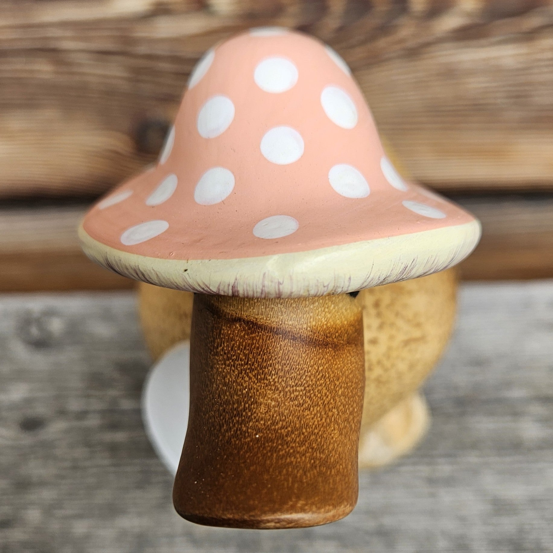 Anka i bambu Jasper närbild näbb och hatt