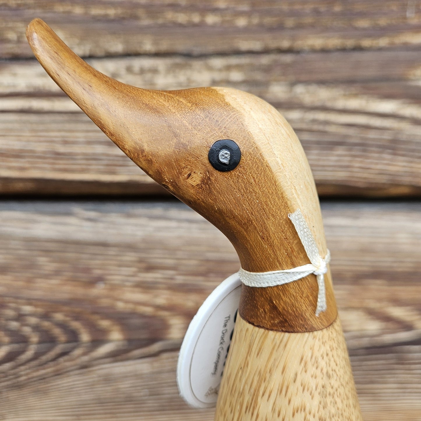 Arthur bambuanka närbild huvud - Naturboden