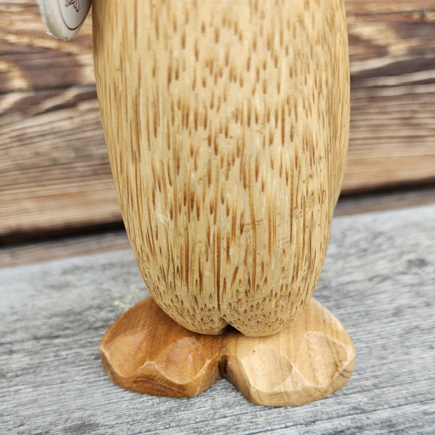 Arthur anka i bambu närbild fötter - Naturboden