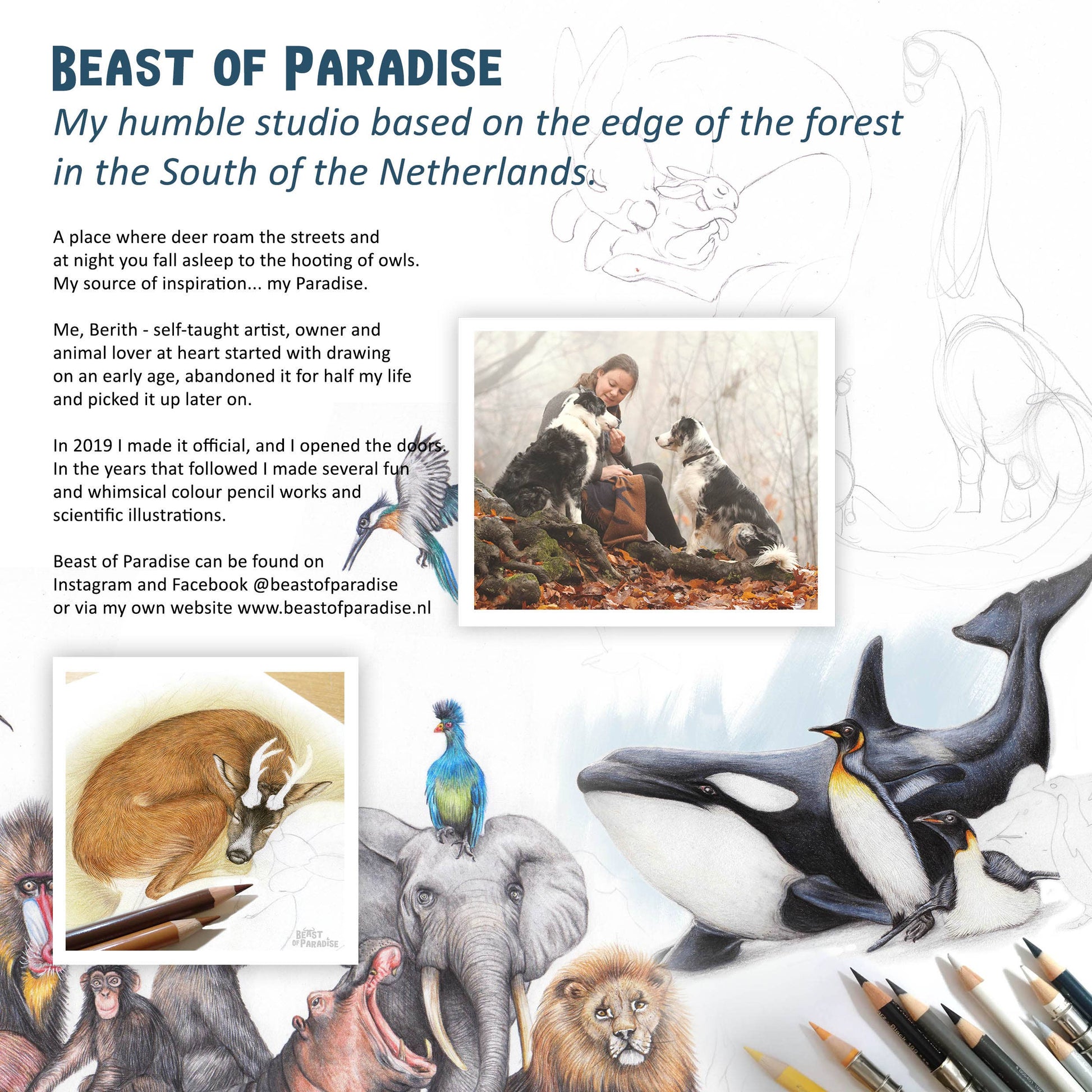 Beast of paradise presentation