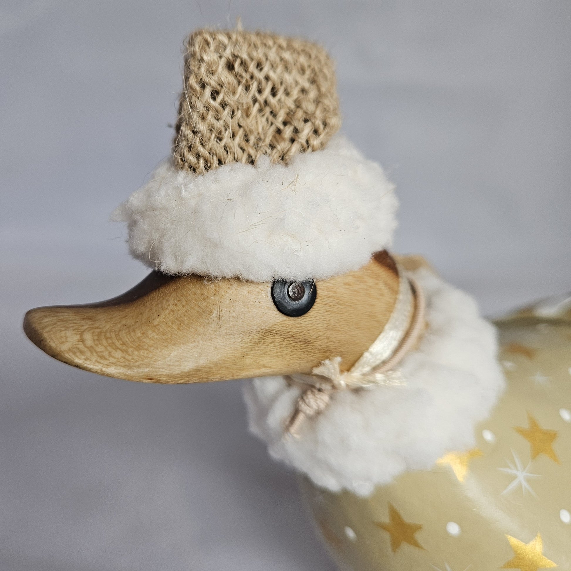 Berry julanka närbild - Naturboden