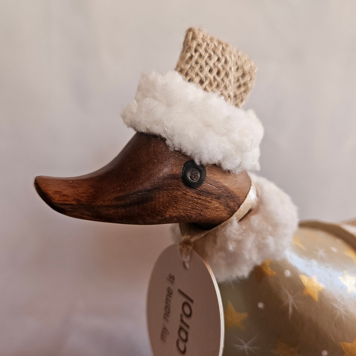 närbild Carol 2 julanka näbb vänster - Naturboden