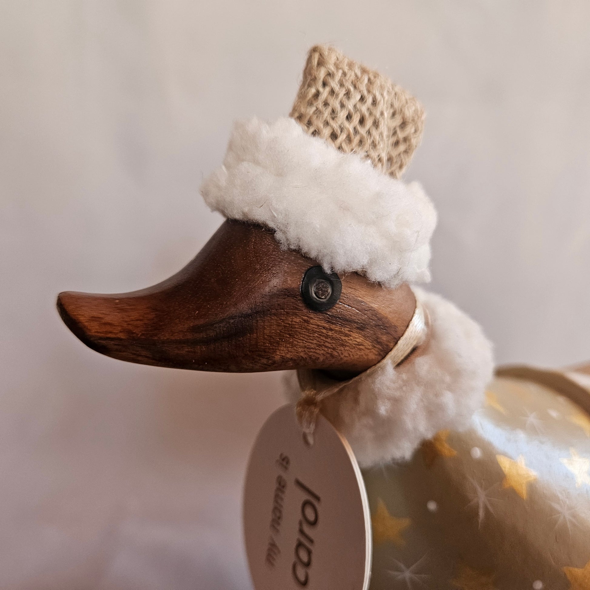 närbild Carol 2 julanka näbb vänster - Naturboden