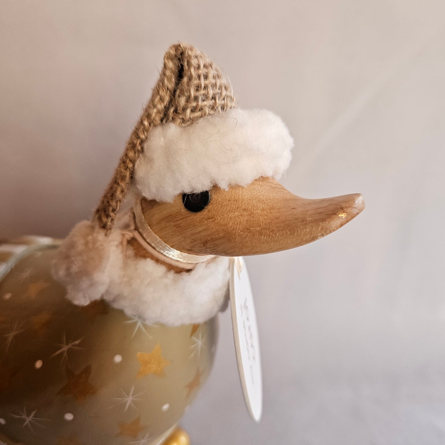 Närbild näbb höger sida julanka Carol 1