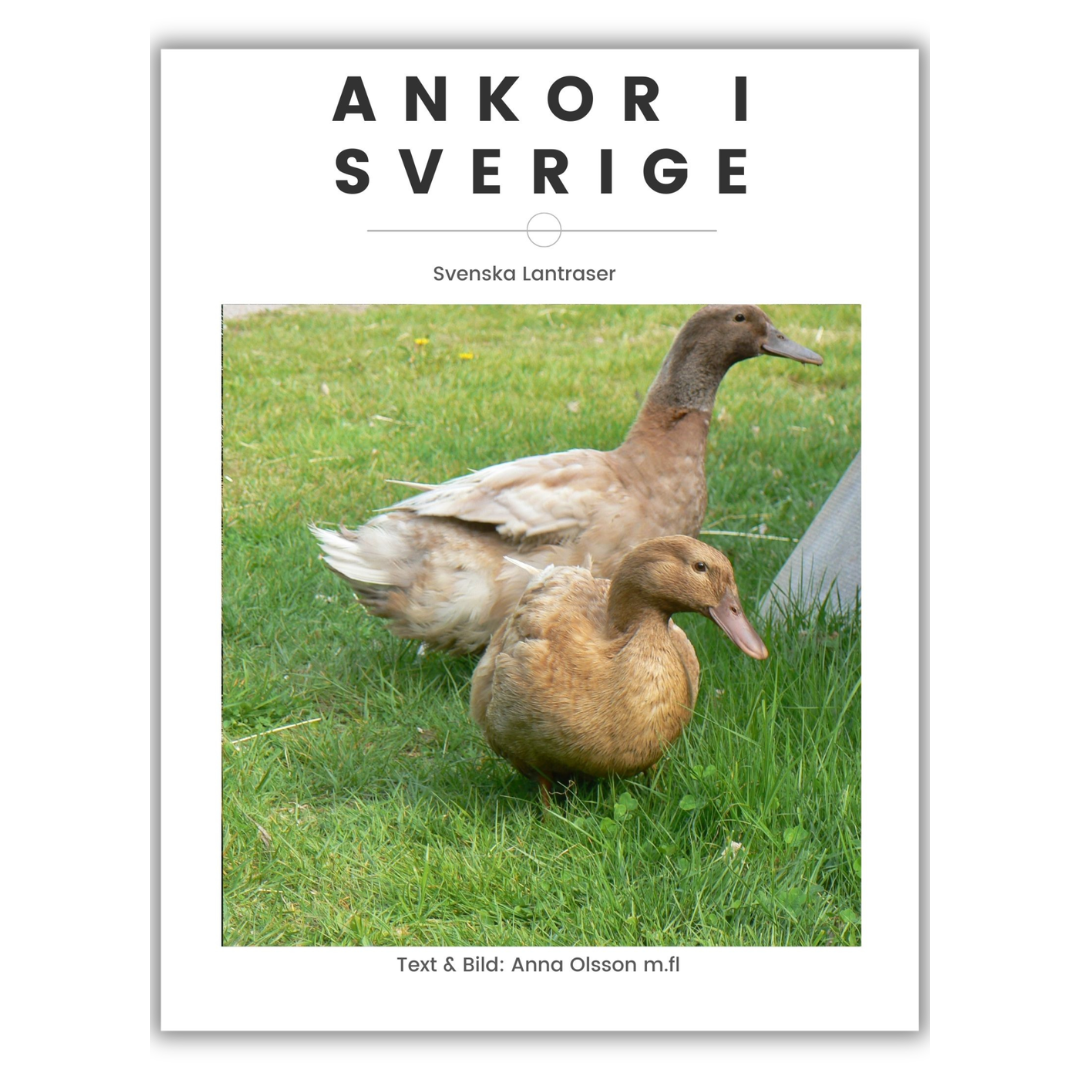 E-bok Ankor i Sverige Svenska lantraser
