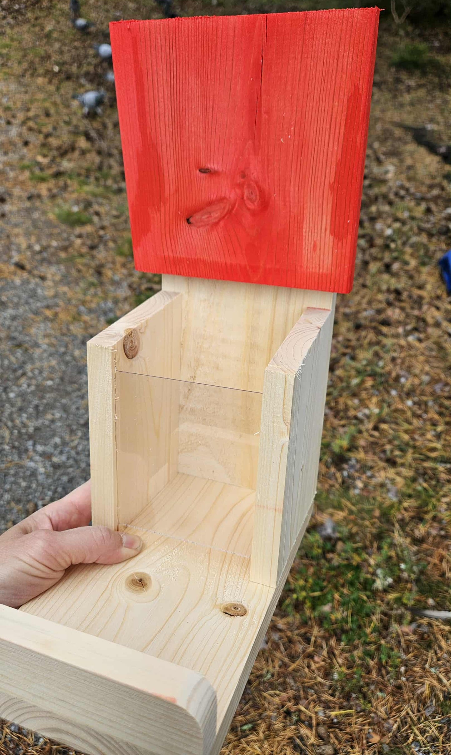 Ekorrmatare öppet lock visning - Naturboden