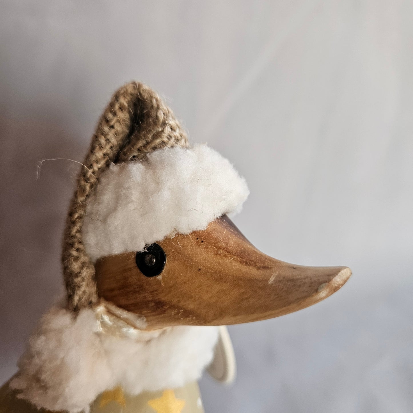 Gary julanka näbbskav nära - Naturboden