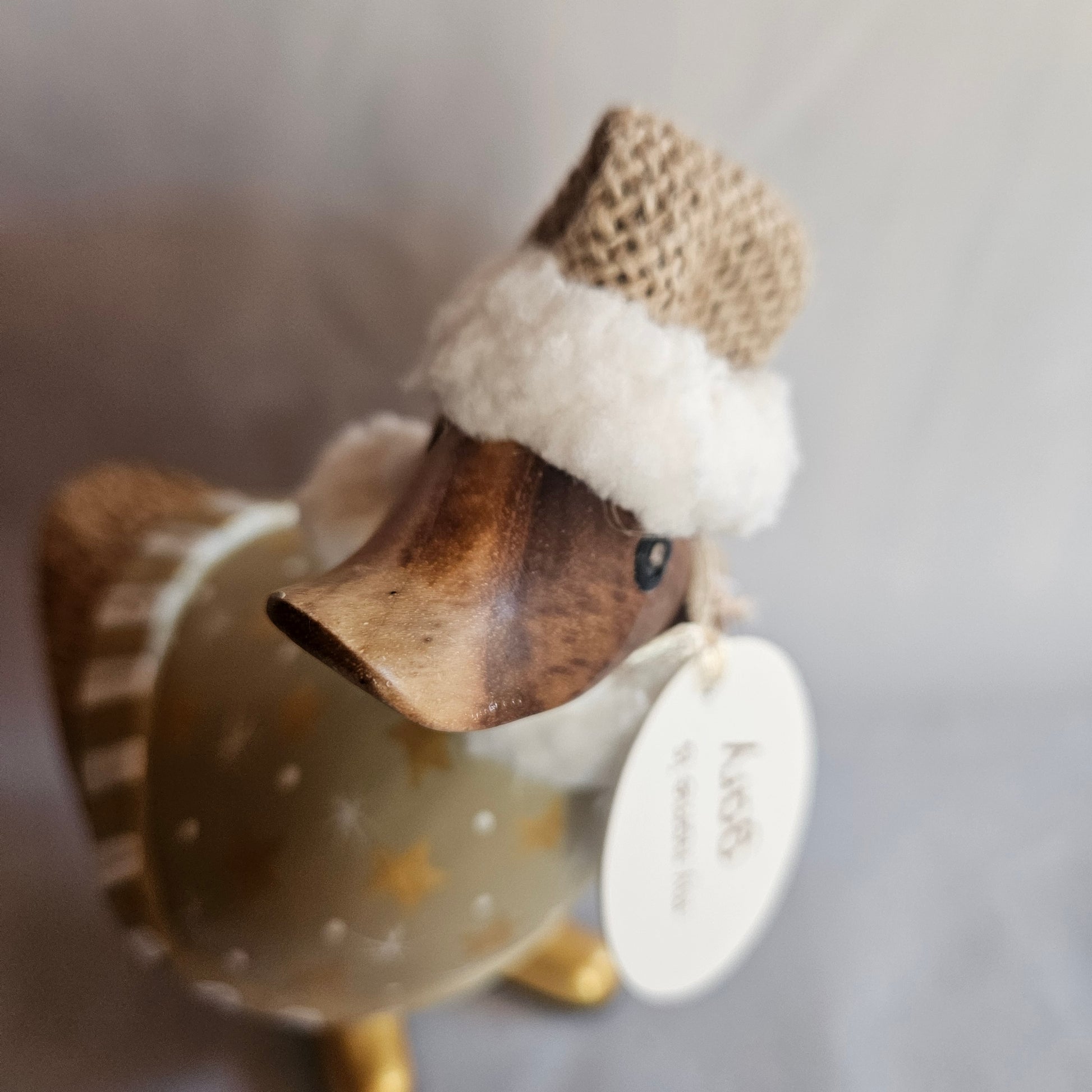 Gary julanka näbb närbild - Naturboden