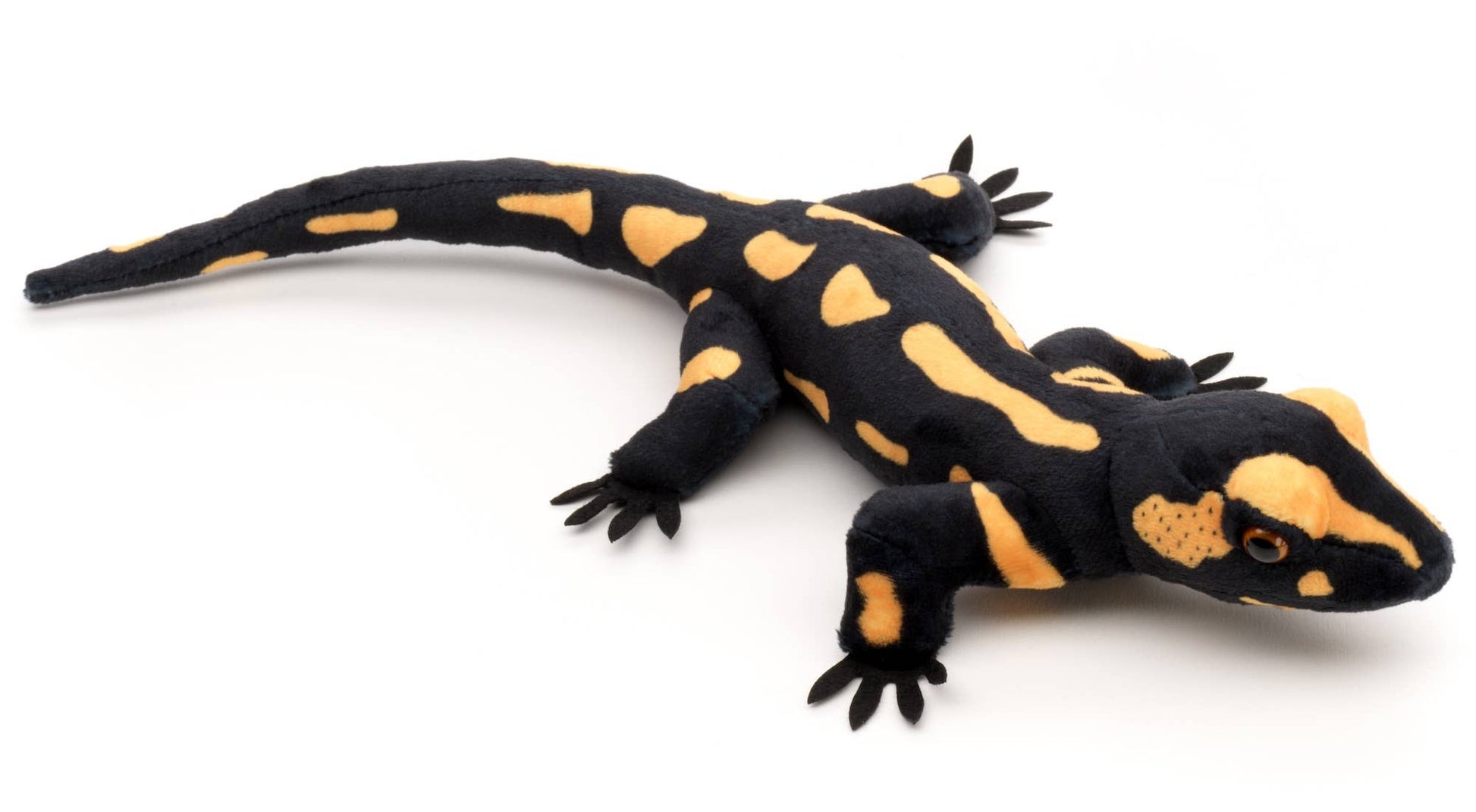 Eldsalamander gosedjur svart och gul - Naturboden