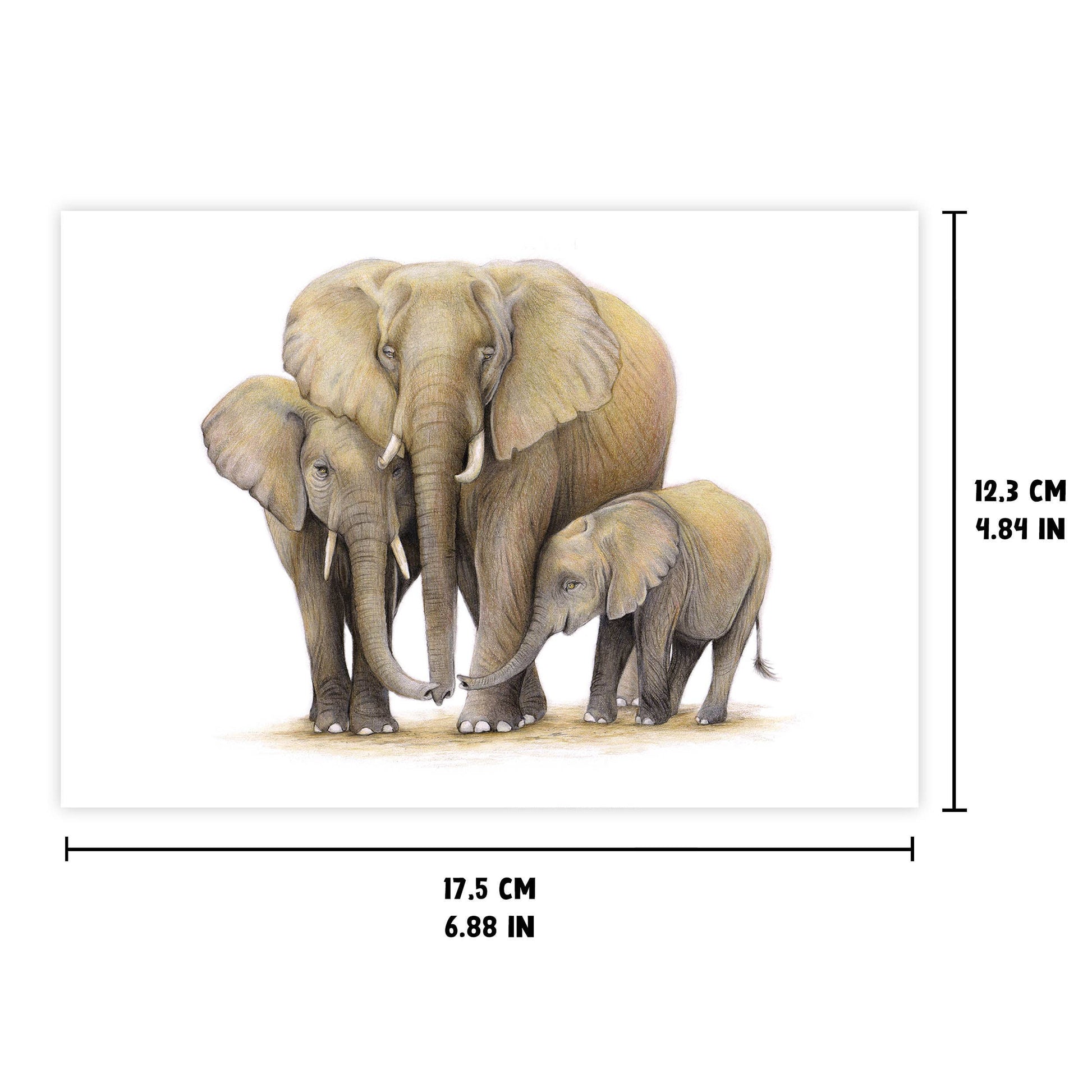 Hälsningskort Elefant 12,3x17,5 cm