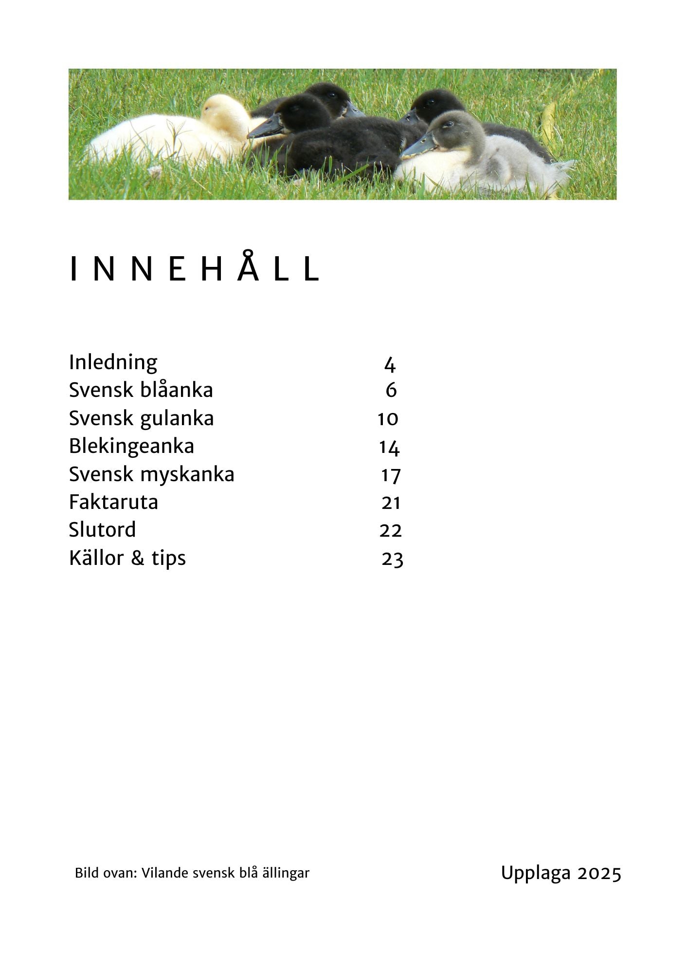 Innehållssida Svenska lantraser, Ankor i Sverige E-bok - Naturboden