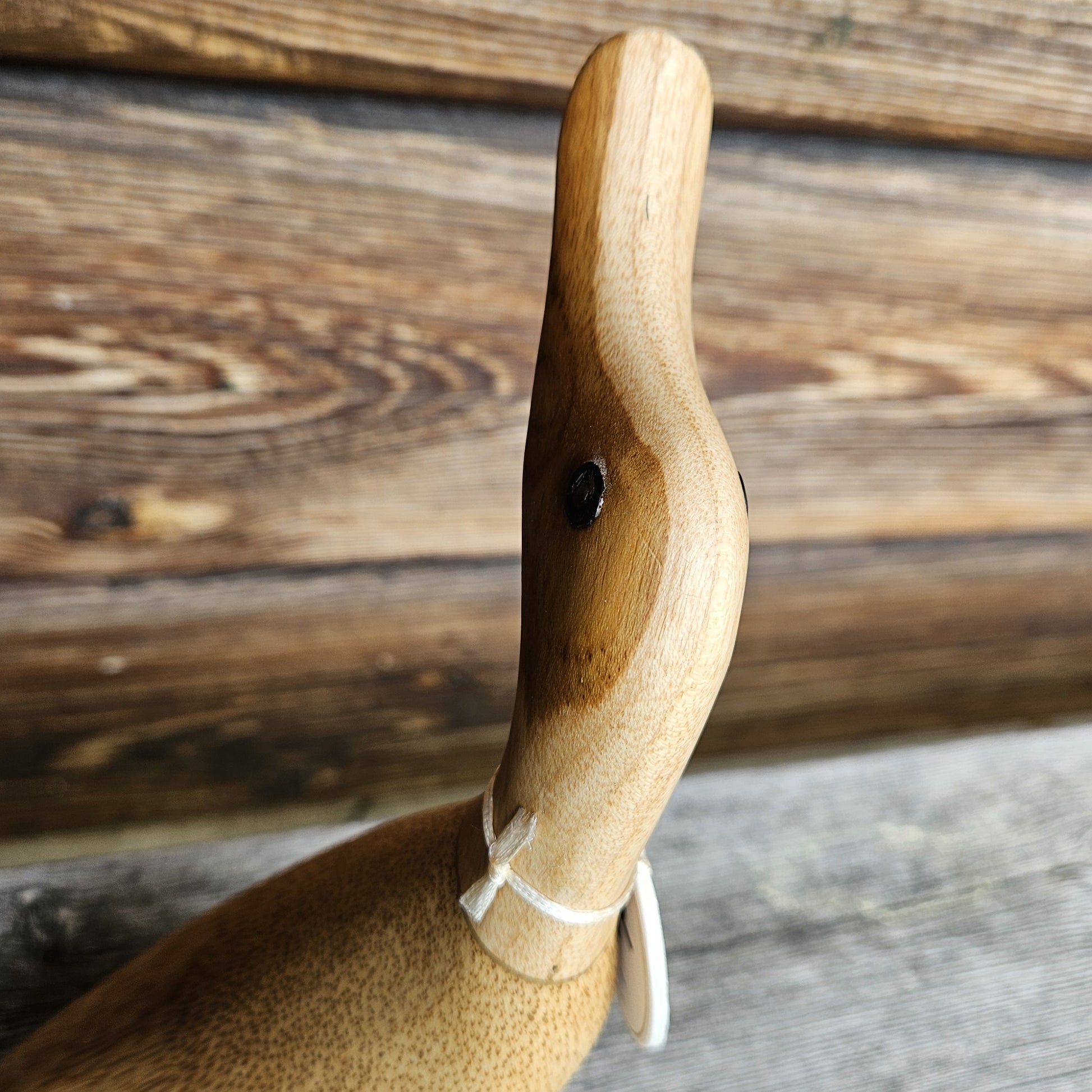 Jackie anka i bambu huvud - Naturboden