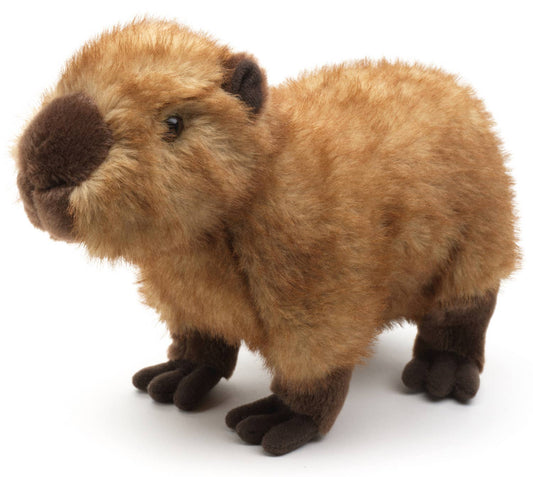Kapybara gosedjur - Naturboden