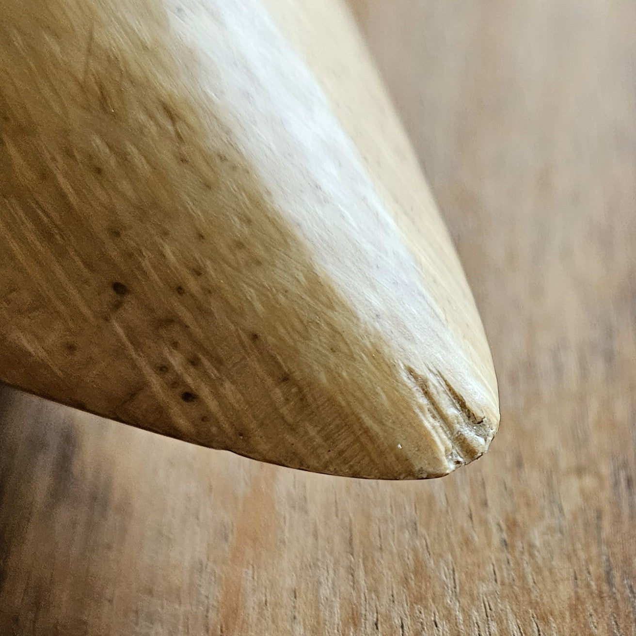 Anka i bambu Kate andrasortering närbild - Naturboden