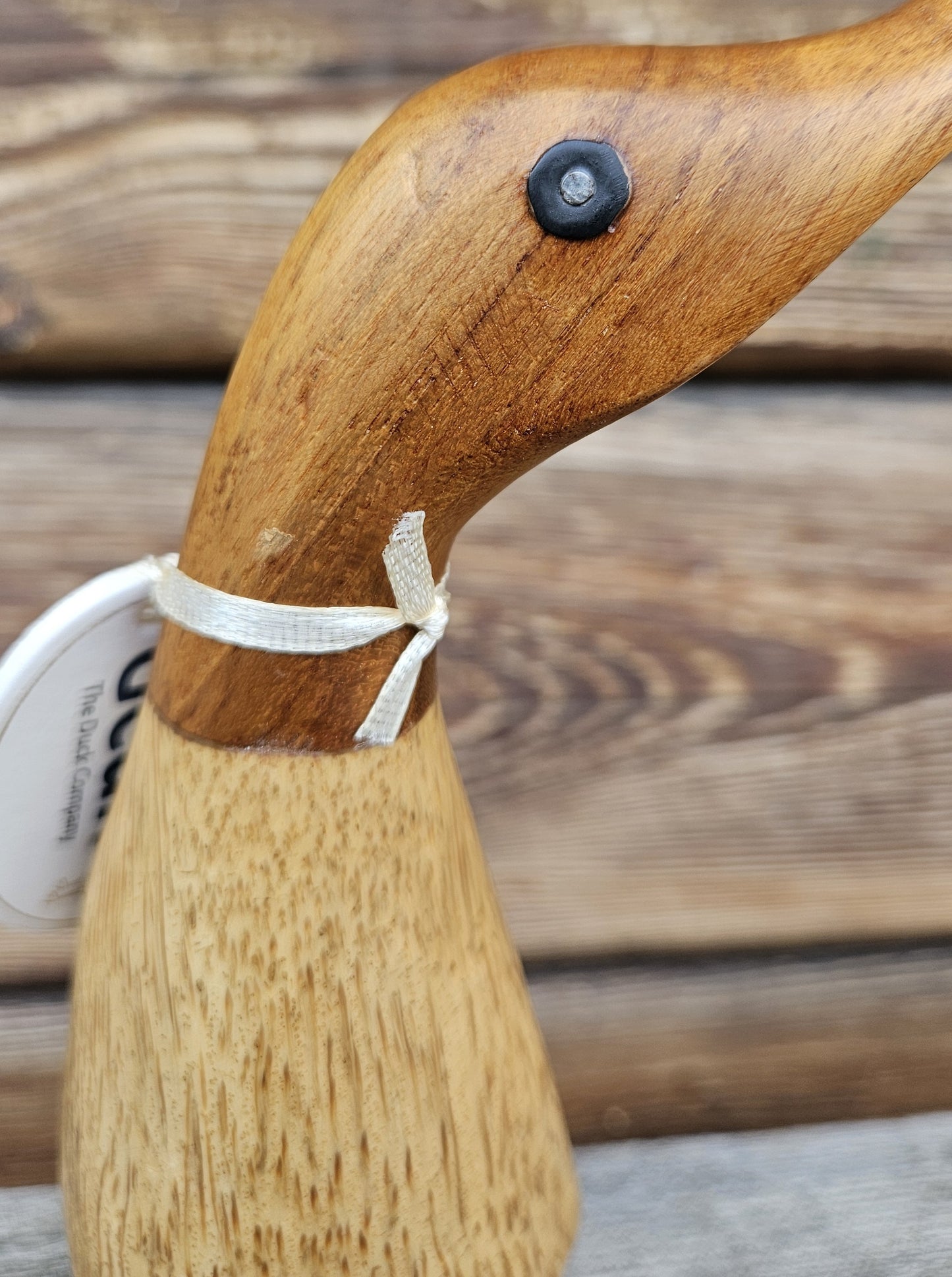 Ken anka i bambu ansikte - Naturboden