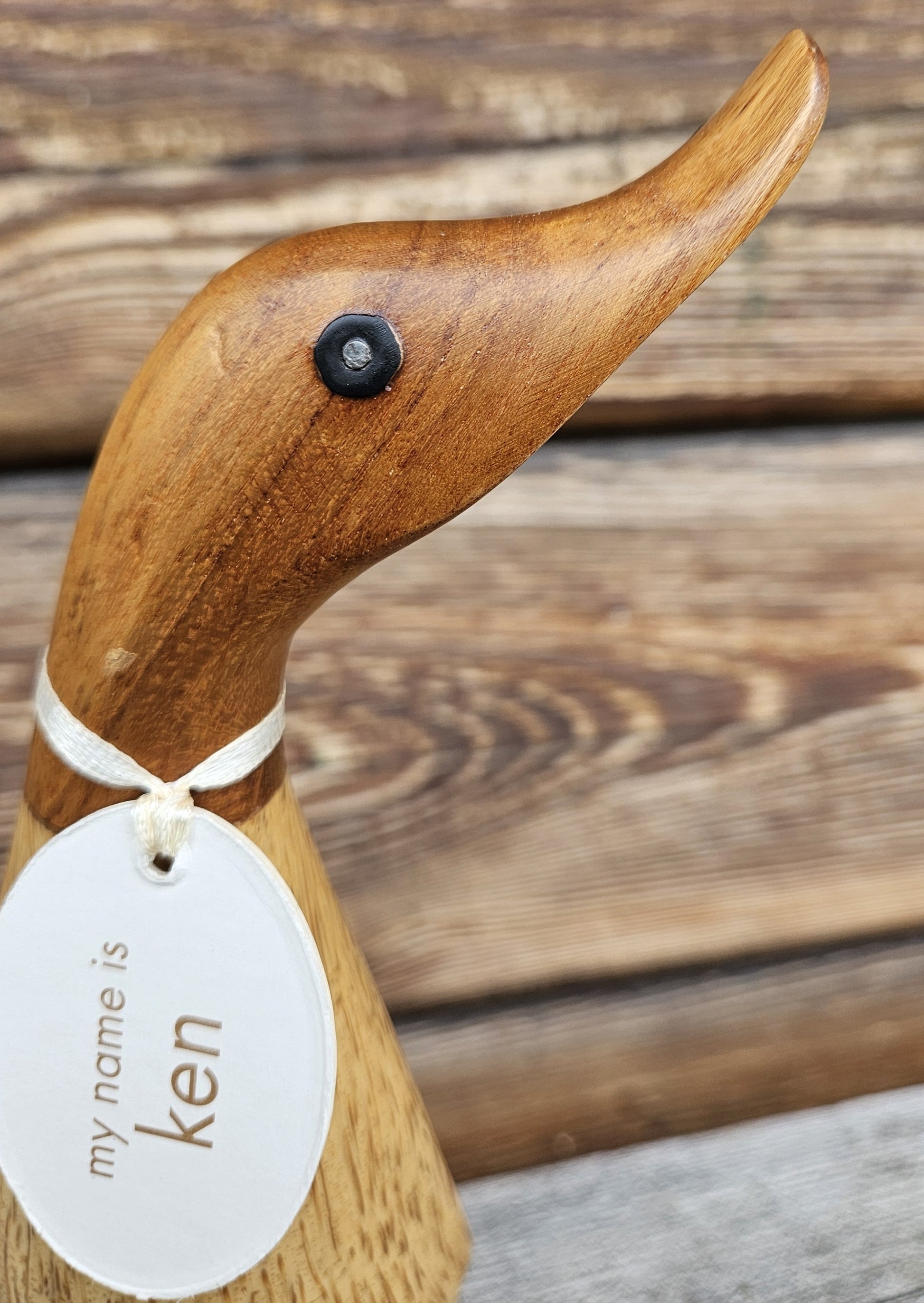 Ken anka i bambu huvud höger - Naturboden