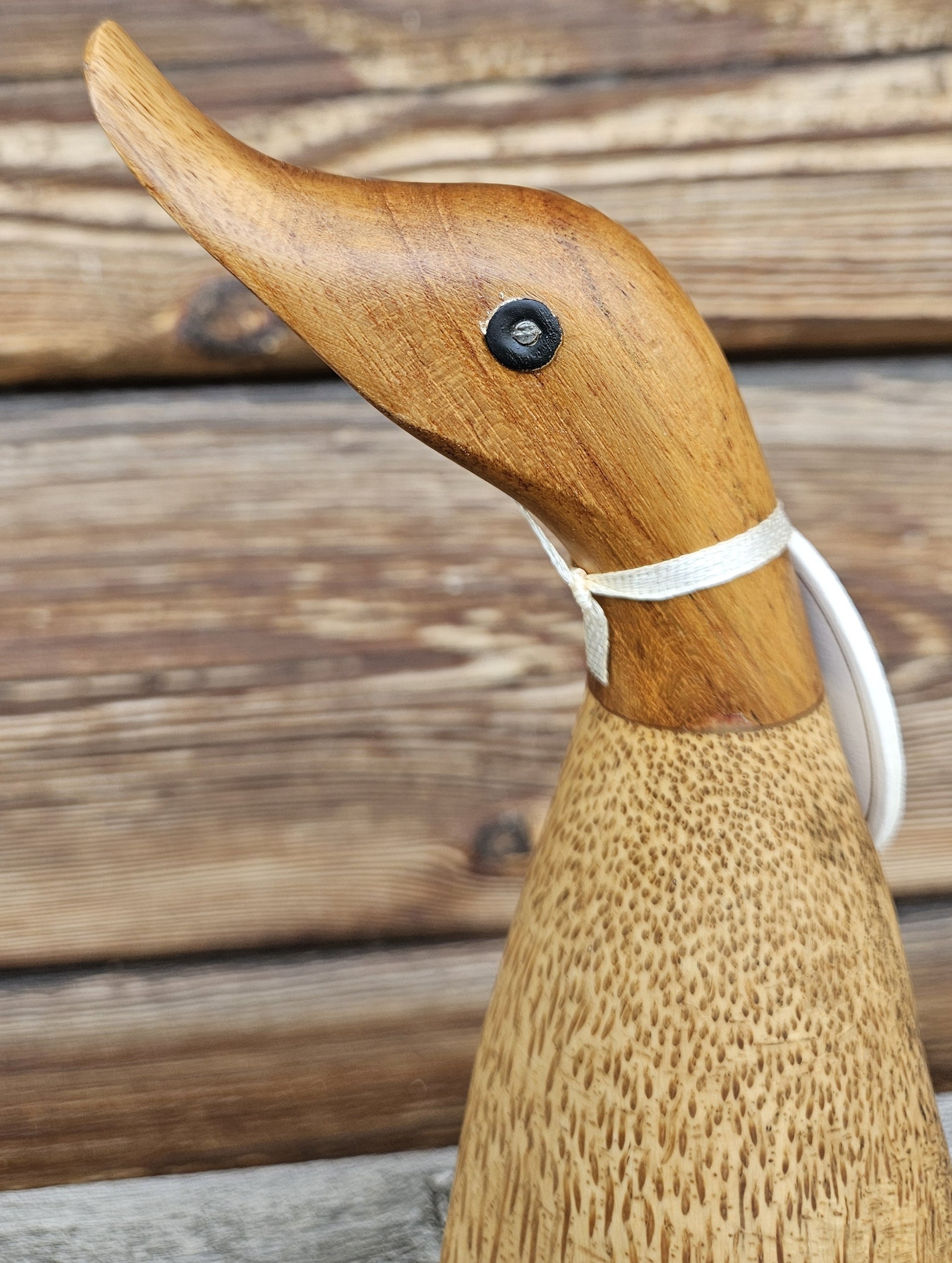 Ken anka i bambu huvud vänster - Naturbden