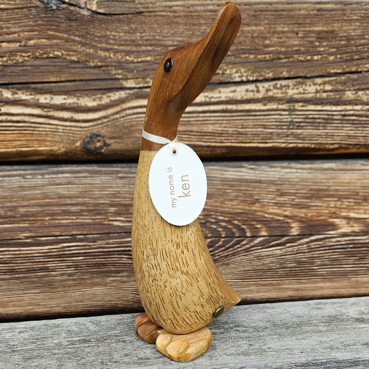 Ken anka i bambu mörkt huvud - Naturboden