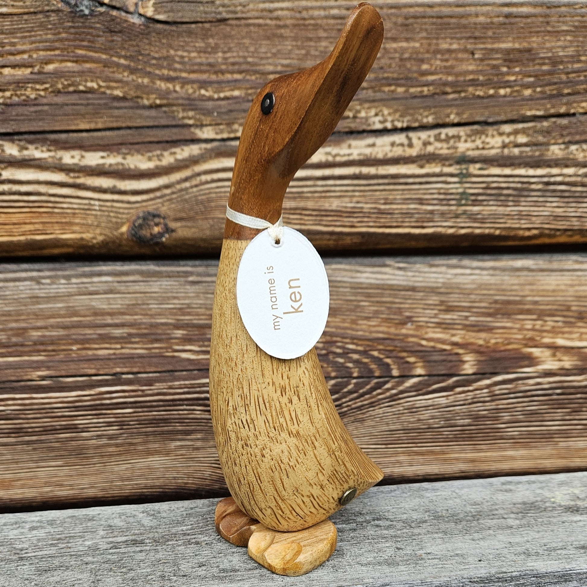 Ken anka i bambu mörkt huvud - Naturboden