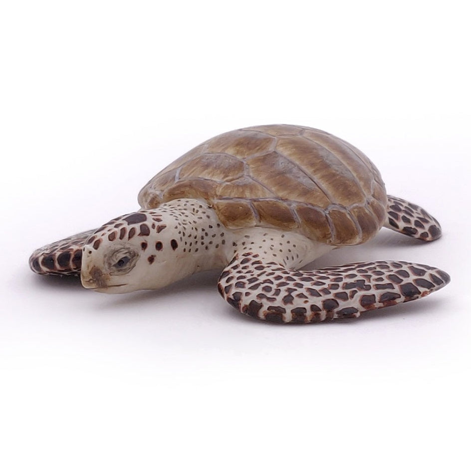 Loggerhead turtle Papo