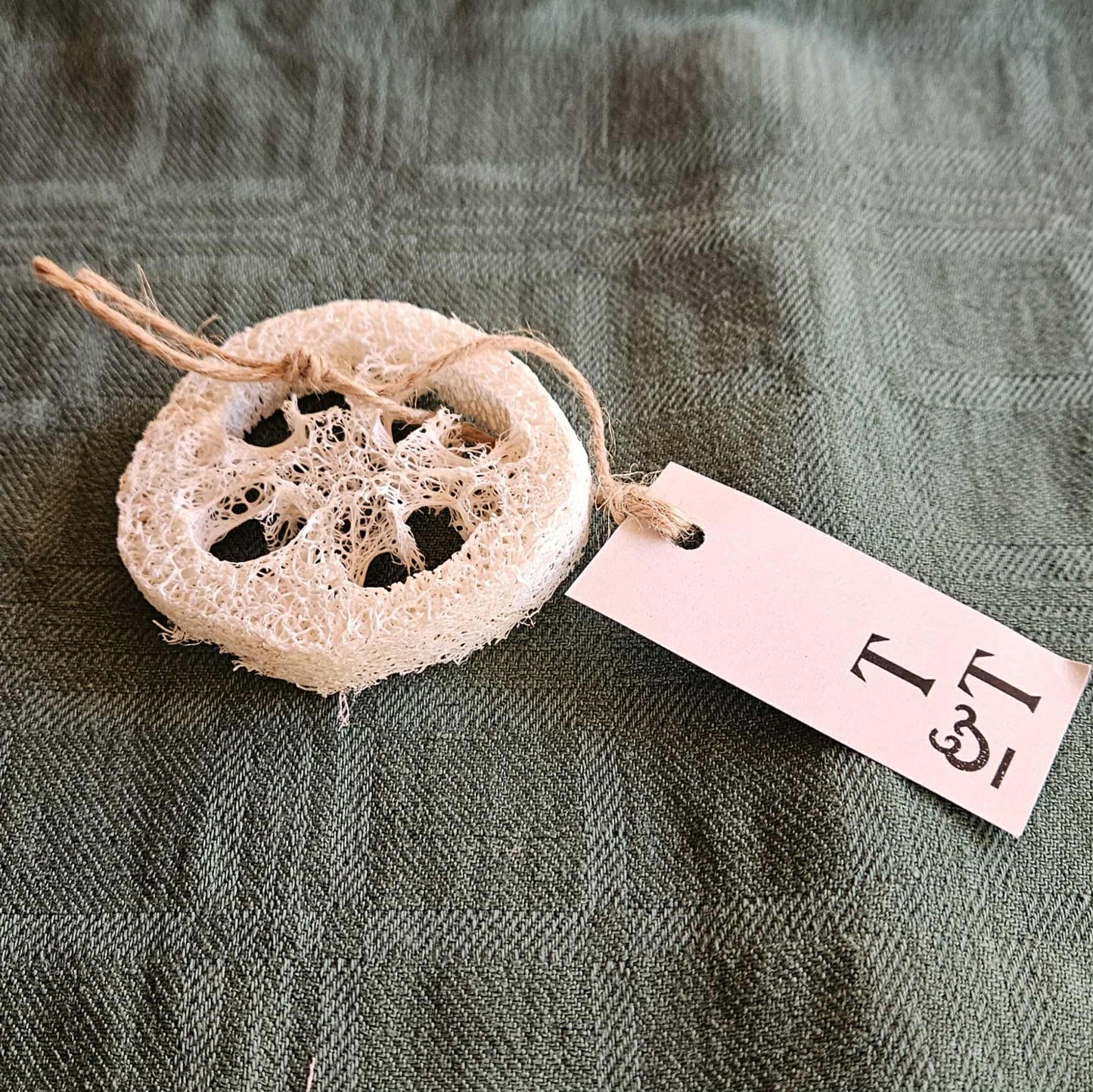 Tvålfat av Loofagurka Nyhet!