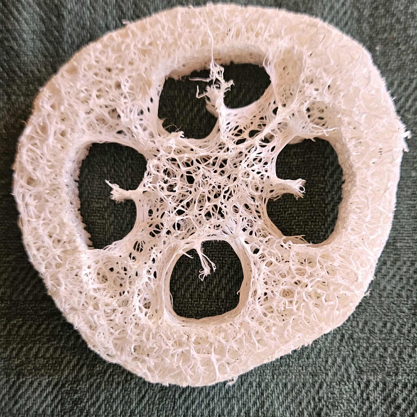 Tvålfat av Loofagurka Nyhet!