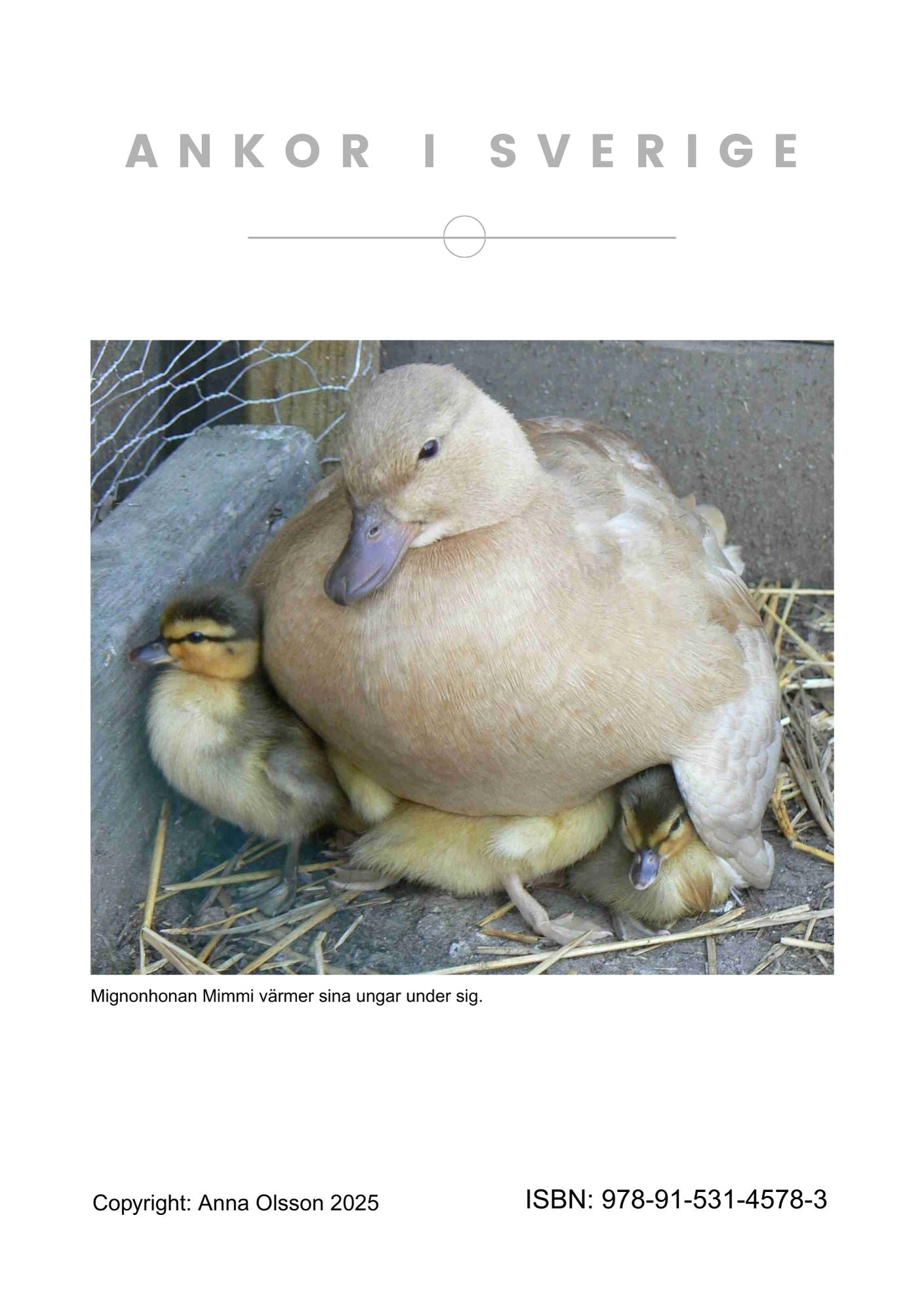 Ankor i Sverige E-bok Paket