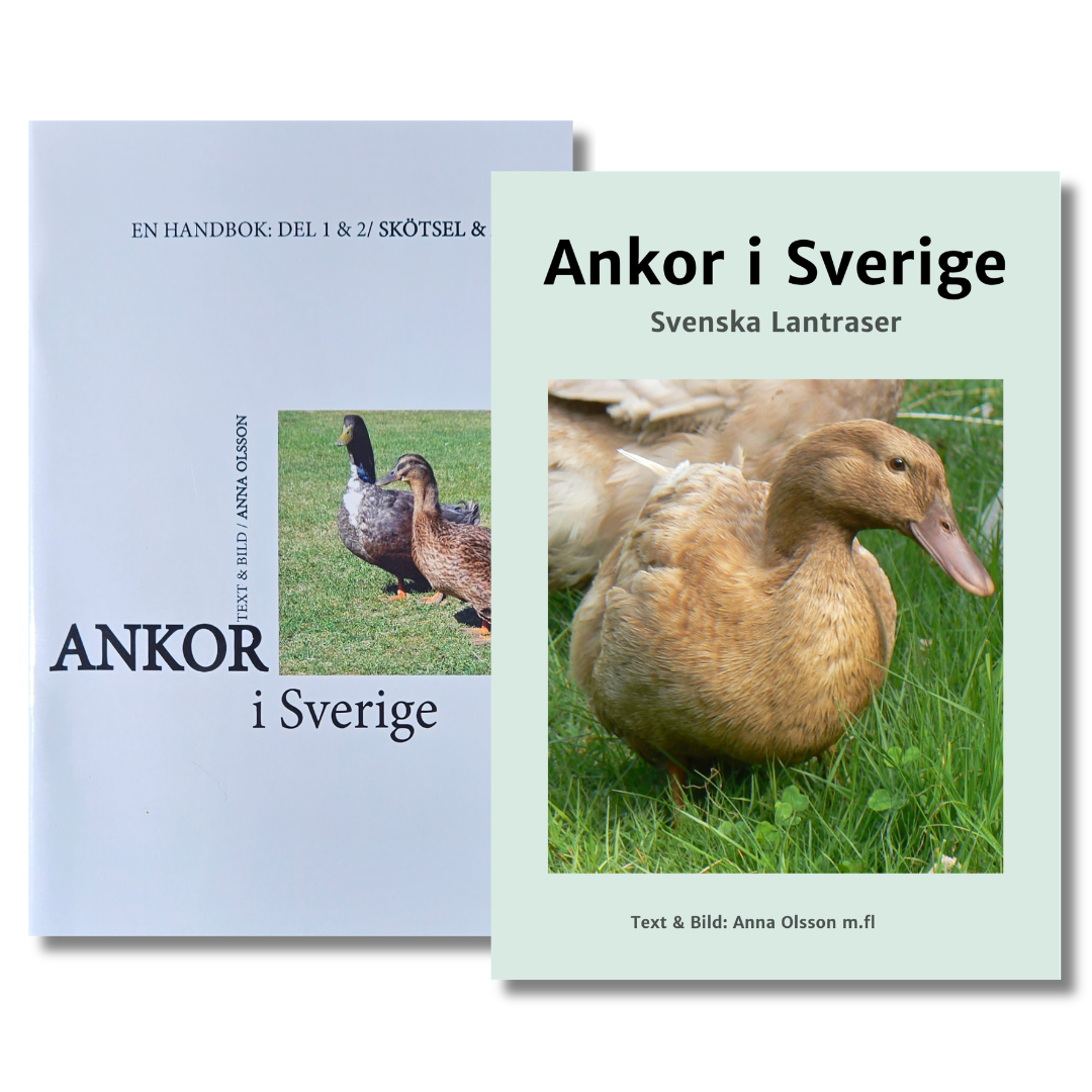 Paket med båda delar av Ankor i Sverige 