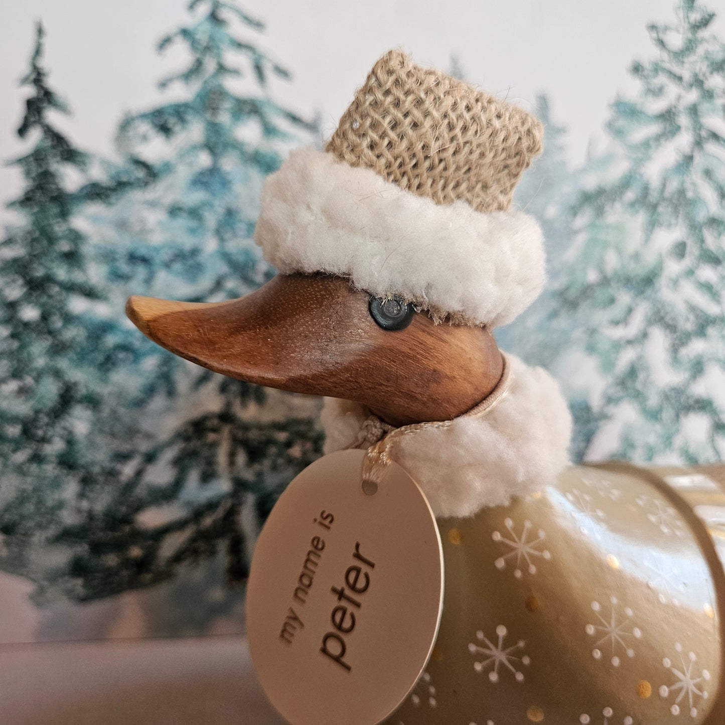 julanka Peter ansikte vänster sida - Naturboden